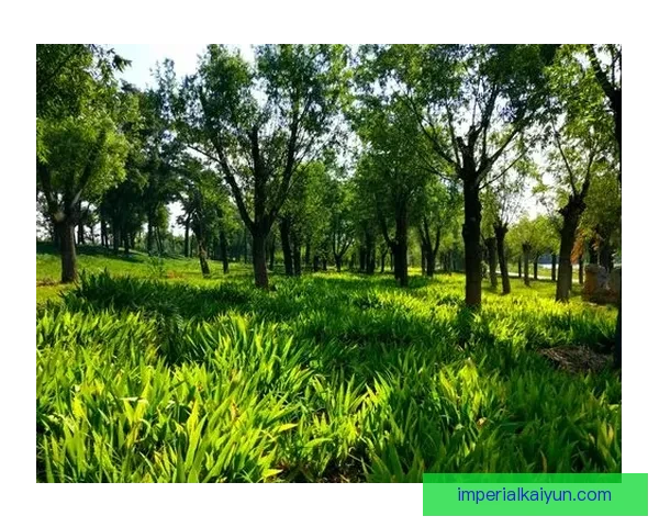 J1联赛印尼球员表现稳健，助力球队持续向前推进