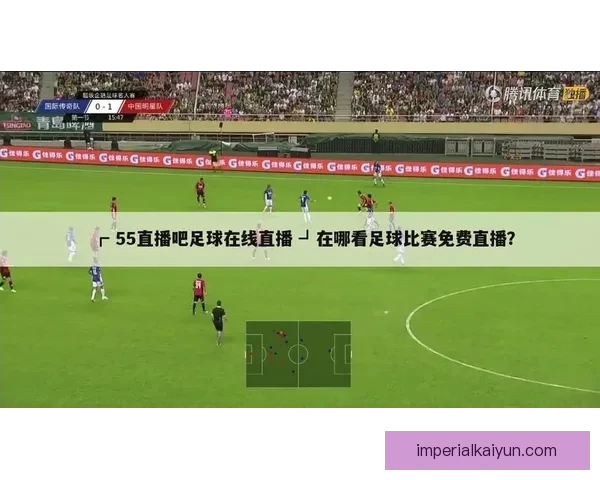 意大利欧预赛附加赛表现分析，备受关注的晋级形势将影响球队未来发展