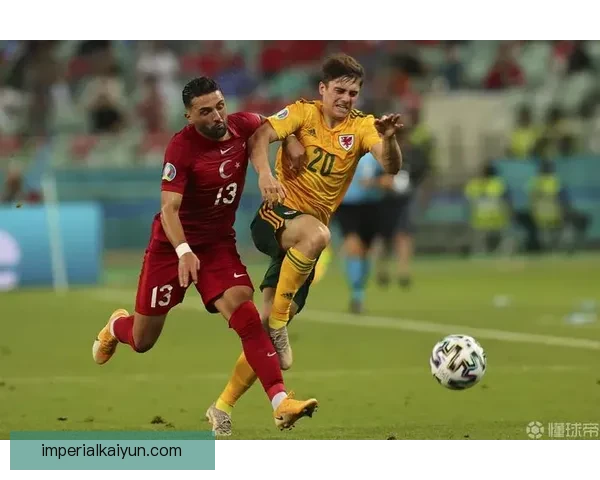 土耳其球迷氛围火爆，主场支持力助球队表现稳健